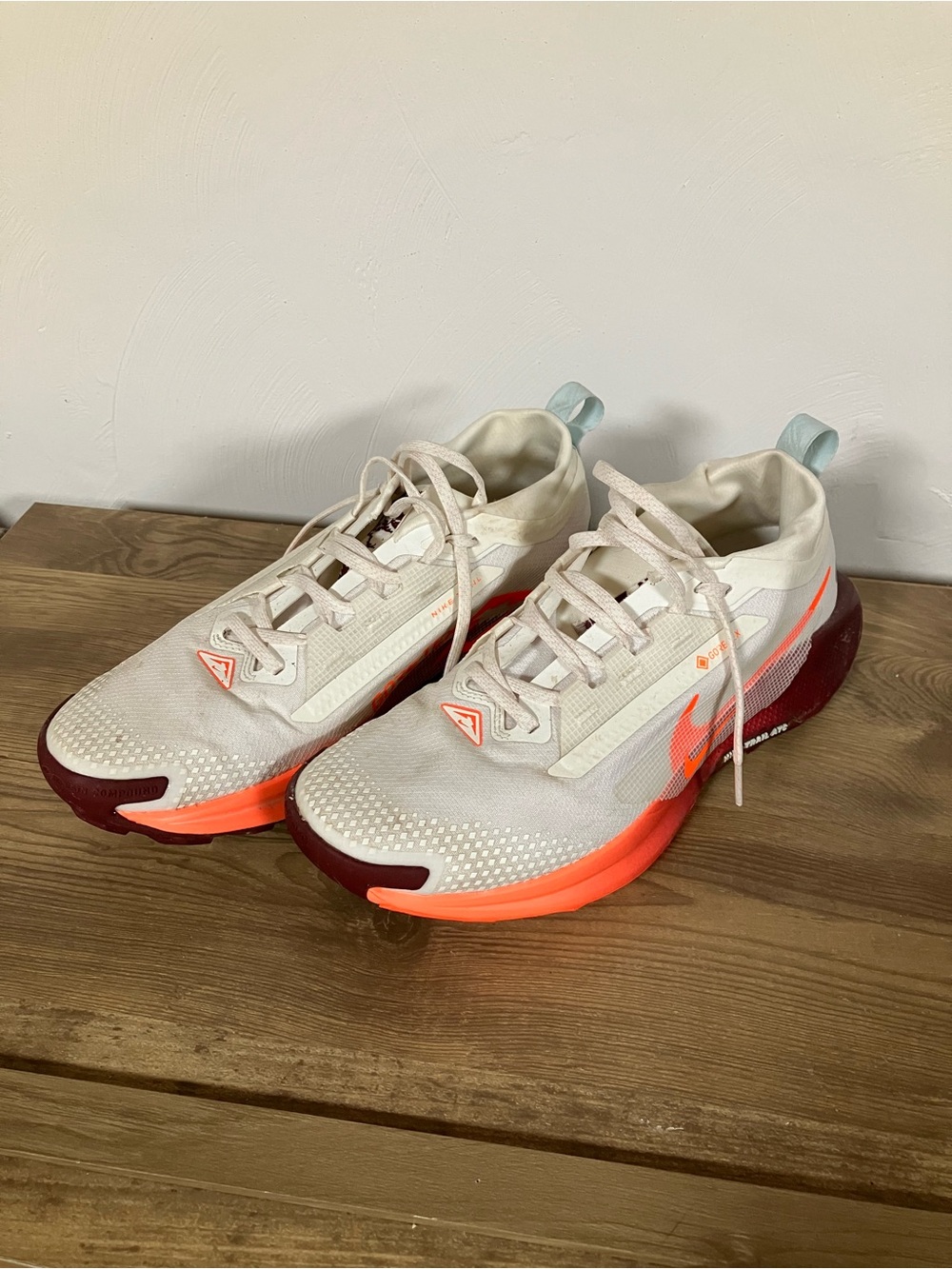 Nike Pegasus 5 Trail Goretex sz 9